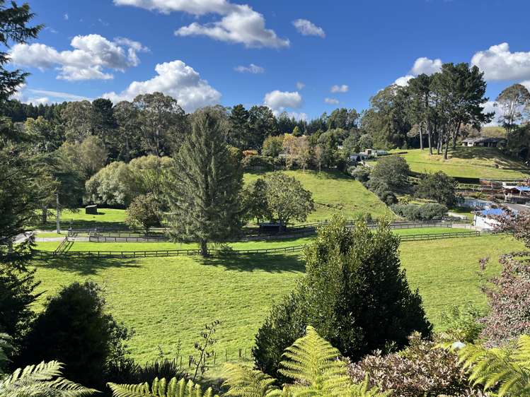 8A Taiporutu Place Springfield_18