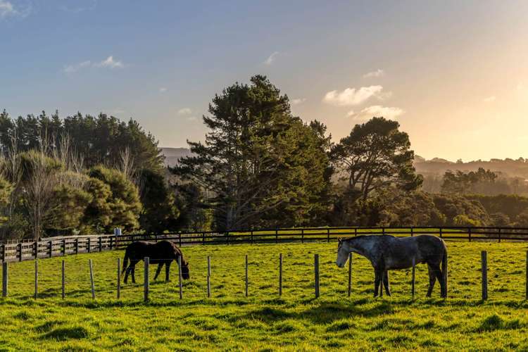 93 Nixon Road Taupaki_7