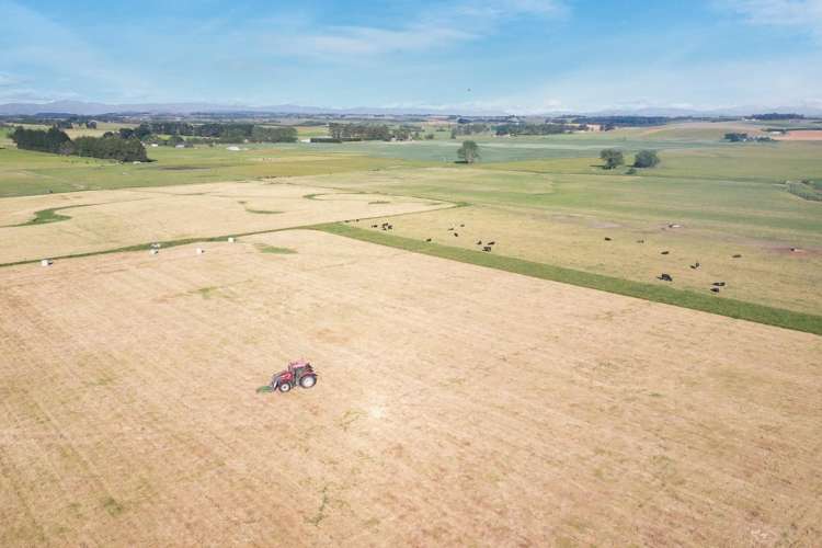 Timaru-Pleasant Point Highway Timaru Surrounds_7