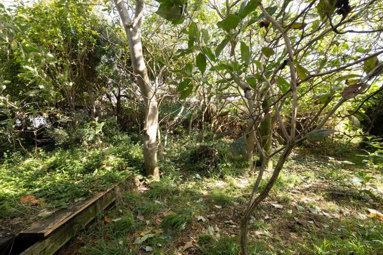 77 Mould Street Waitara_18