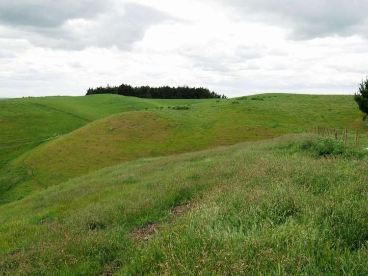Whakapirau Road Maraekakaho_8