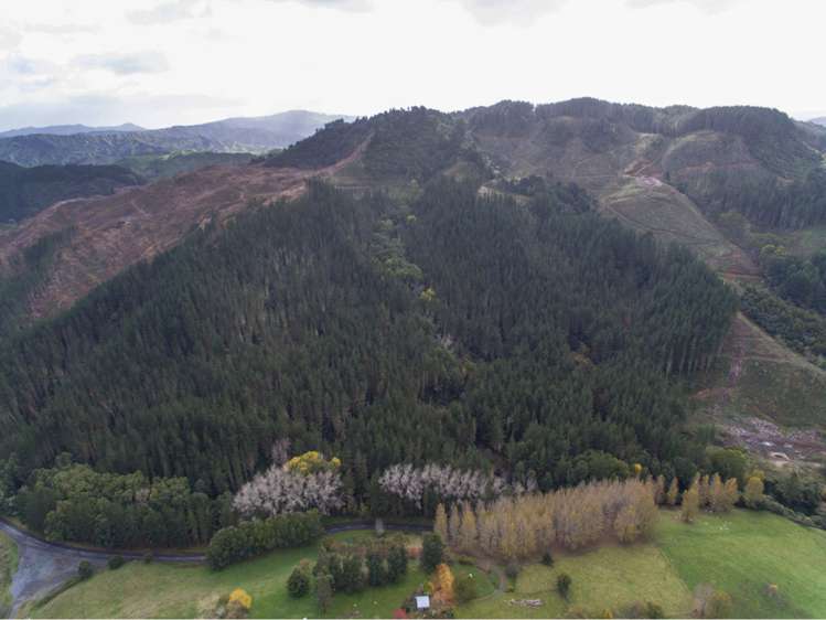 15 State Highway 49 Ohakune_8