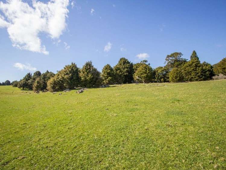 884 Kaiikanui Road Hukerenui and Surrounds_6