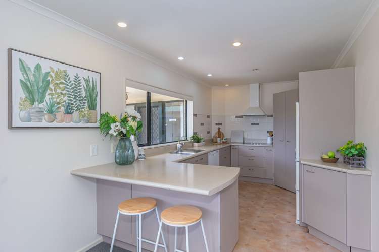61a Salisbury Street Levin_5