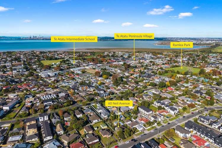 60 Neil Avenue Te Atatu Peninsula_20