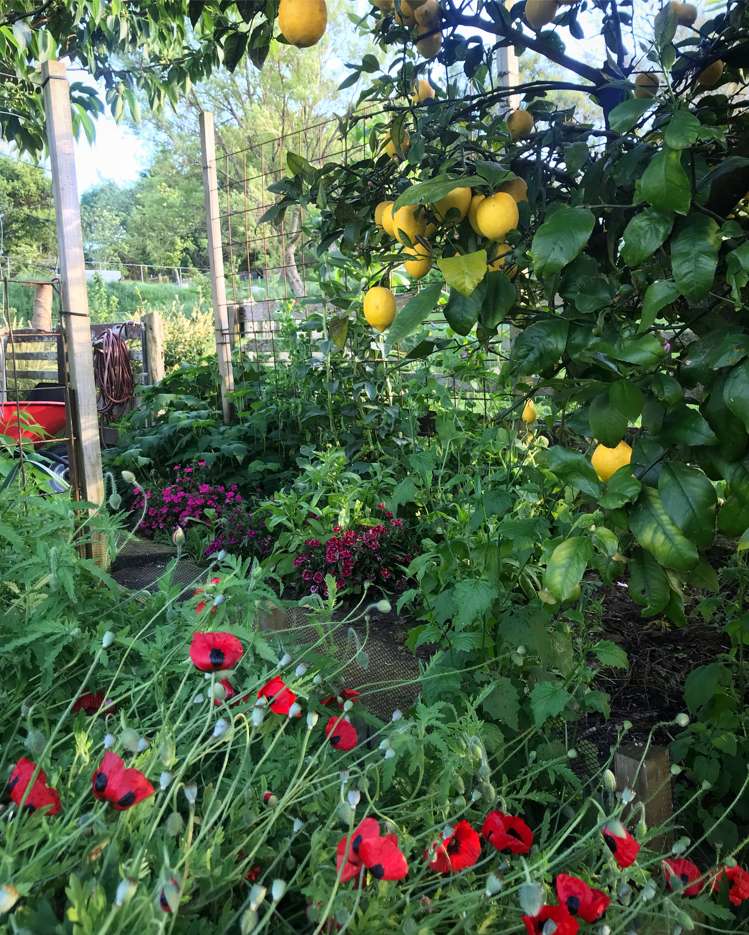 54 Tiraumea Road Pahiatua_18