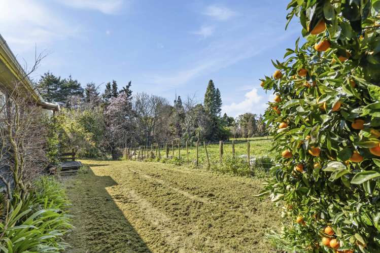 3 Armstrong Avenue Waitara_27