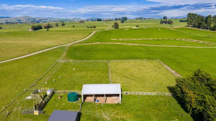 54 Byrne Road Takapau_25