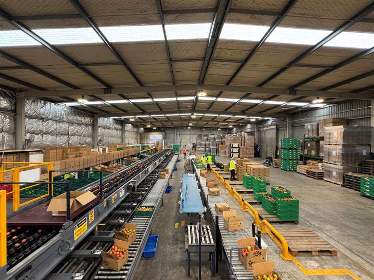 42 Favona Road Favona_1