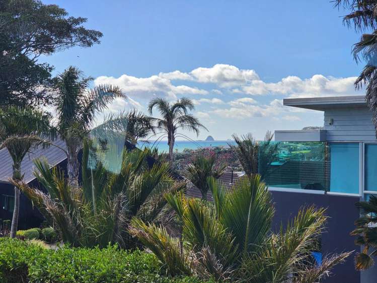 17c Shearer Drive Oakura_19
