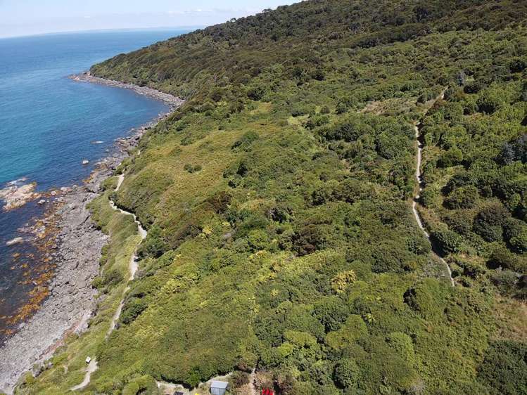 6 Ward Parade Bluff_5