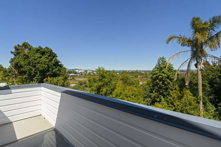 33 Collingwood Street Judea_16