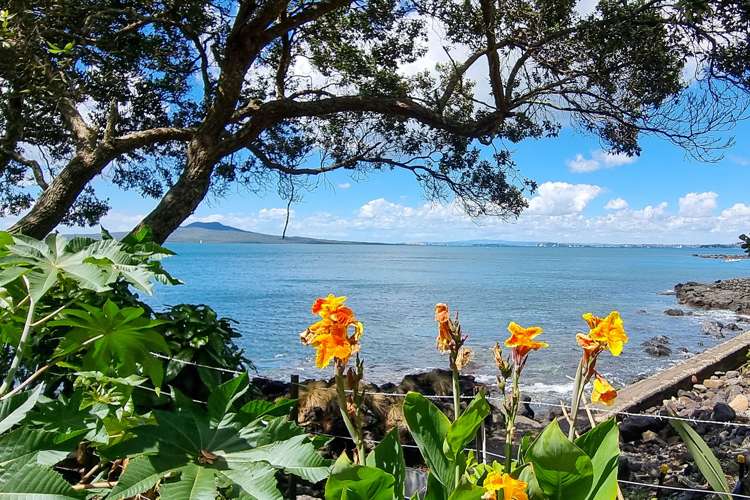 9 Kitchener Road Takapuna_6
