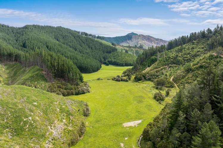 140 Leslies Road Okaramio_32