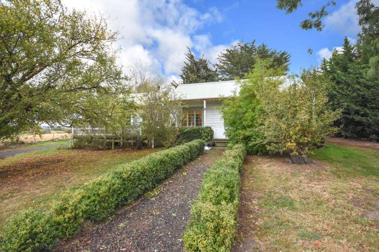 369 Maungatua Road Outram_20