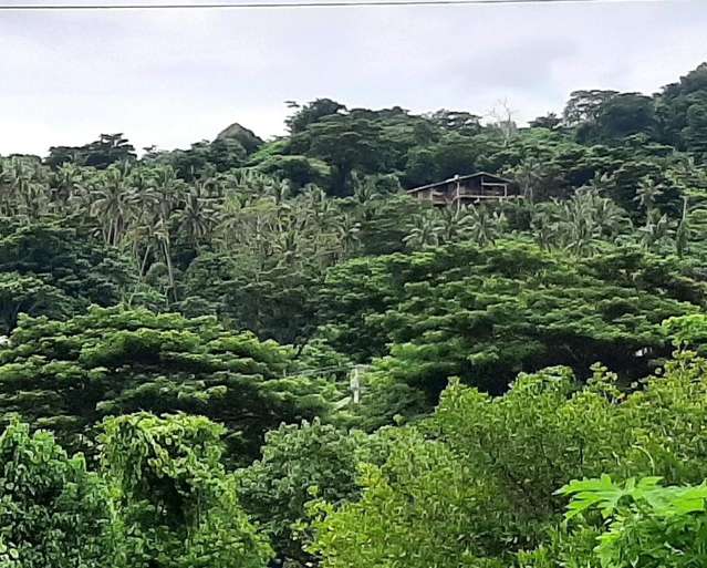 Lot 15,16 Vatudamu Savusavu_3