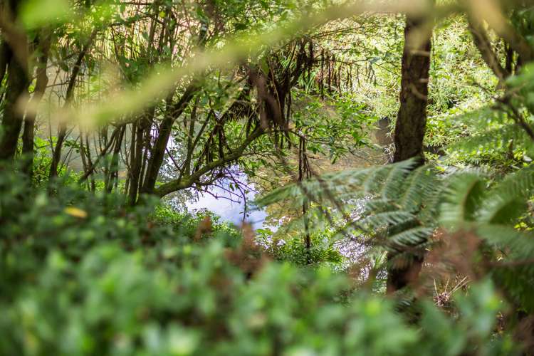 41 Stanley Street Wainuiomata_25