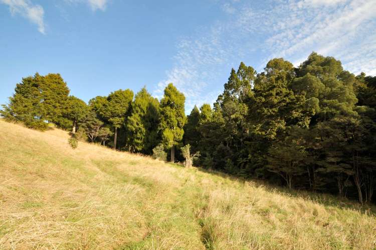 641 Valley Road Kaiwaka_8