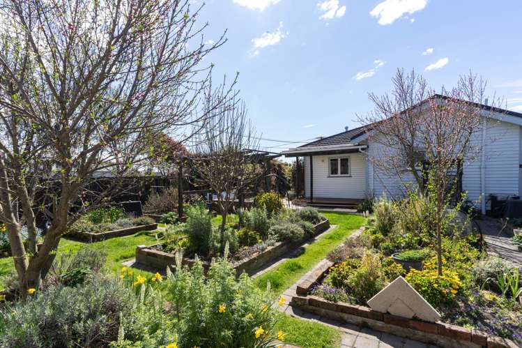 41 Selwyn Street Somerfield_27