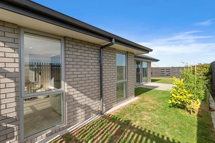 17 Morrin Street Morrinsville_19