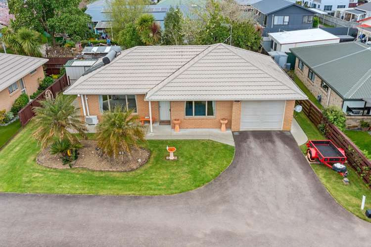 15d Pooles Road Greerton_8