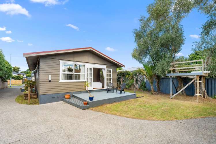 75 Mead Street Avondale_8