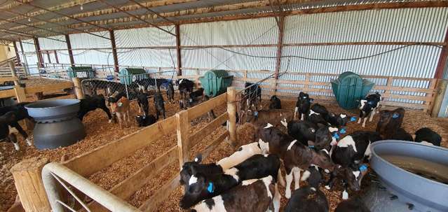 1374 Waimea Valley Road Nine Mile_3