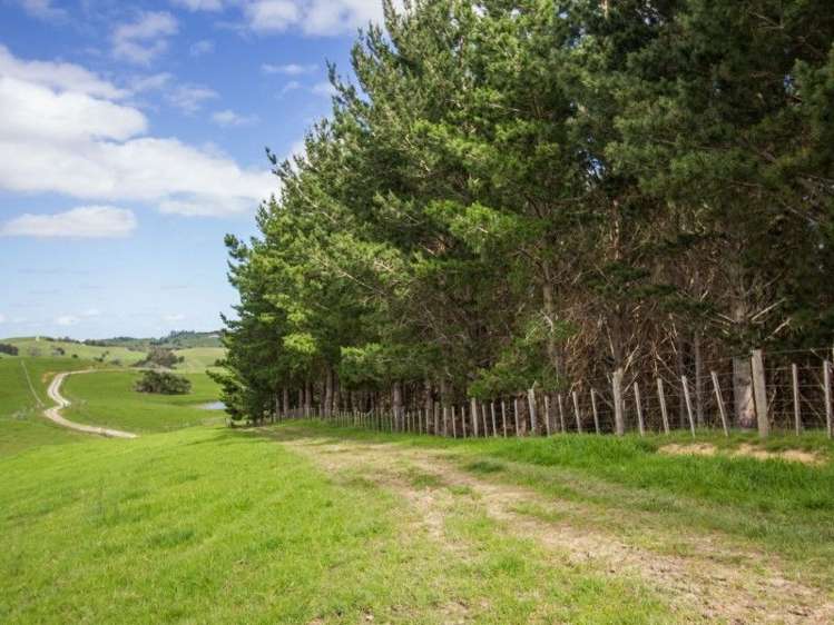 171 Girls High School Road Tangiteroria_18