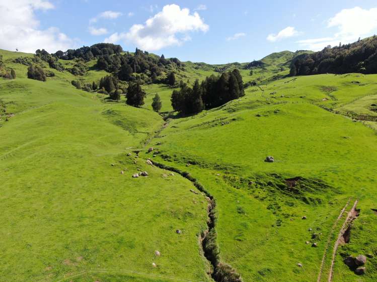 Lot (Rural)/1246 State Highway 3 Piopio_5