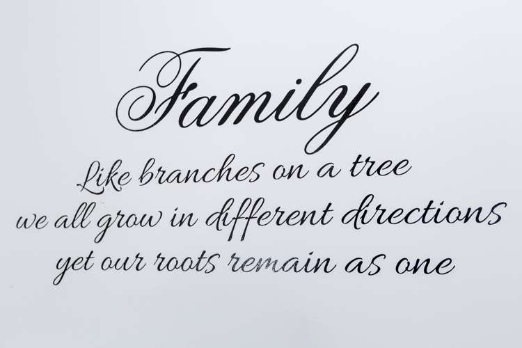 90 Kirton Drive Riverstone Terraces_22