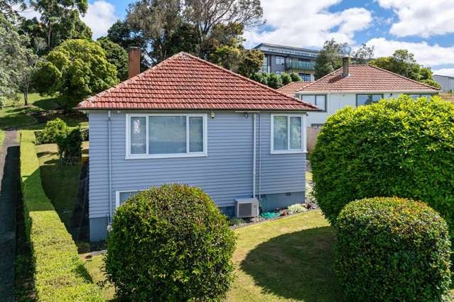 16 Alamein Terrace Mount Albert_2