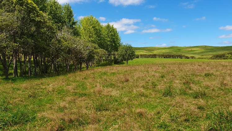 237 Hewlett Road Mata_24