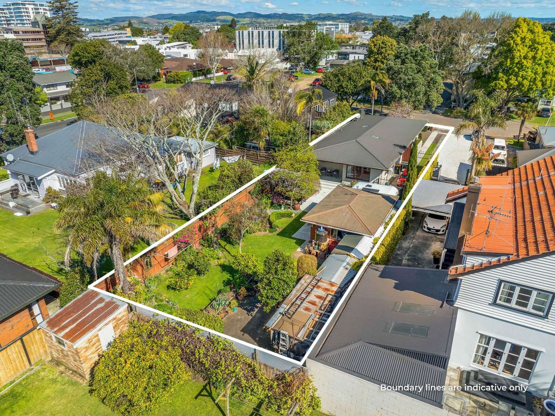11 Williams Street Avenues_0