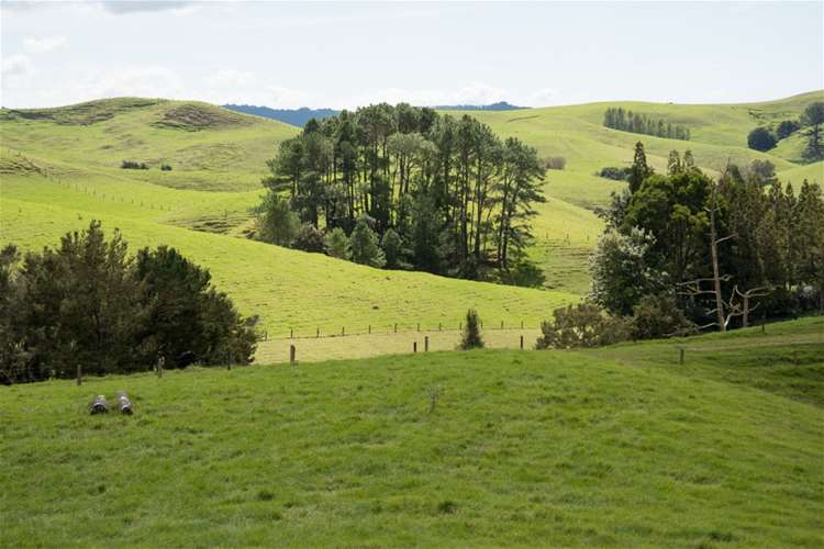 67 Fraser Road Kawakawa_6