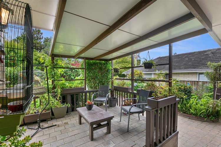 1 Kiwi Street Springfield_12