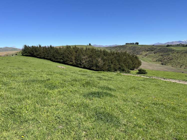 148 Tapui Homestead Road Five Forks and Surrounds_17