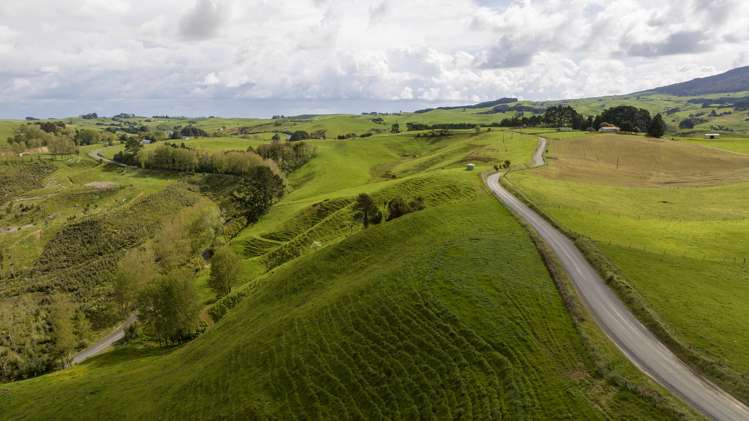 697 Maungatawhiri Road Raglan_21