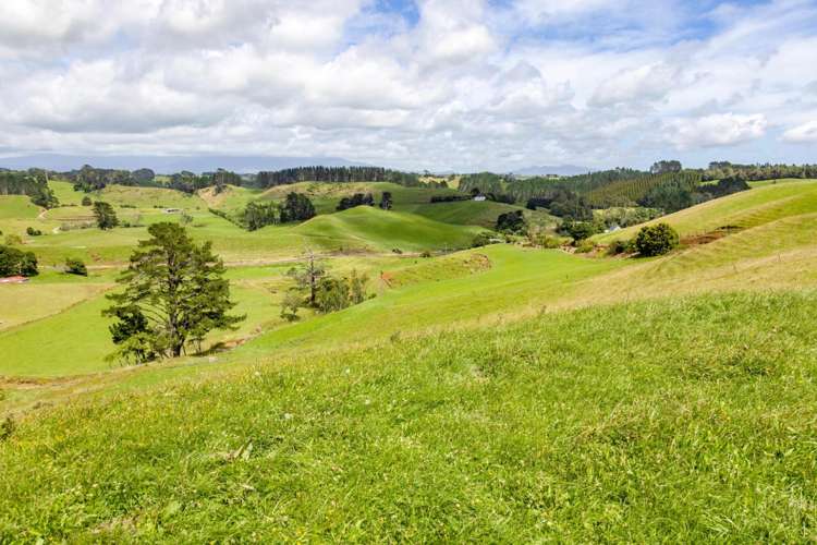 169 Hursthouse Road Tarurutangi_16