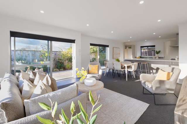 14A Princes Street Levin_1