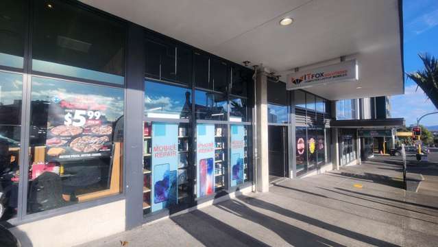 4 Williamson Avenue Grey Lynn_4