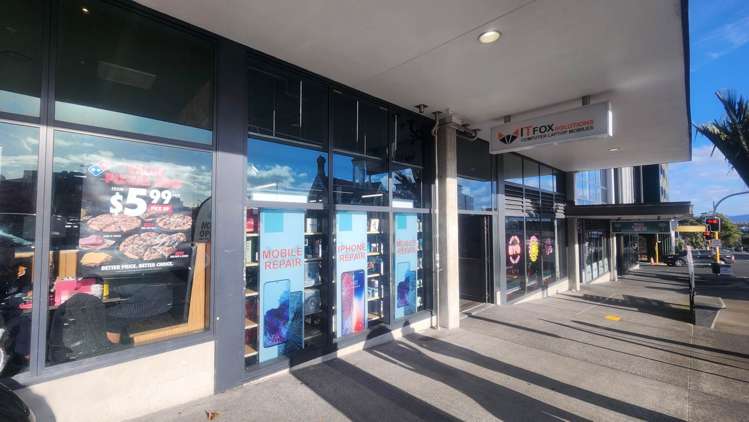 4 Williamson Avenue Grey Lynn_4