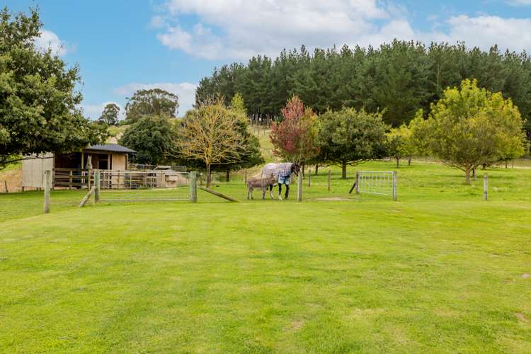 180a Tikokino Road Waipawa_25