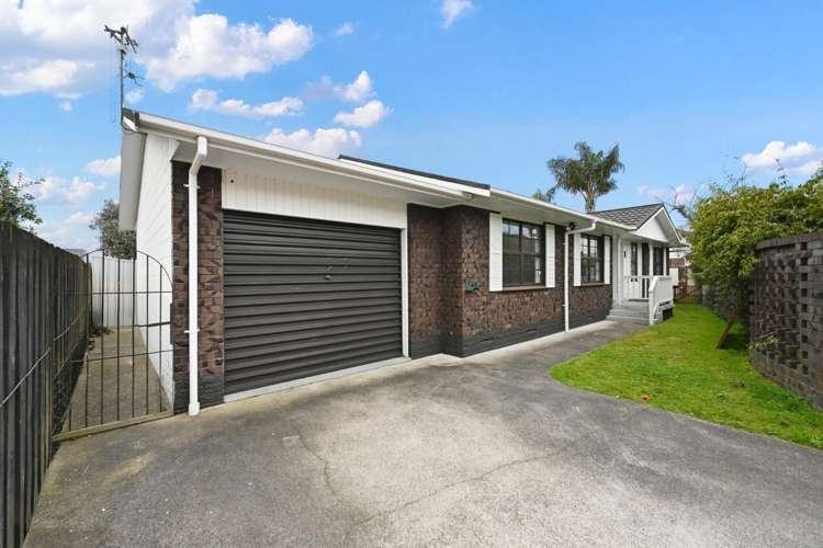 14B Wilfred Street_0