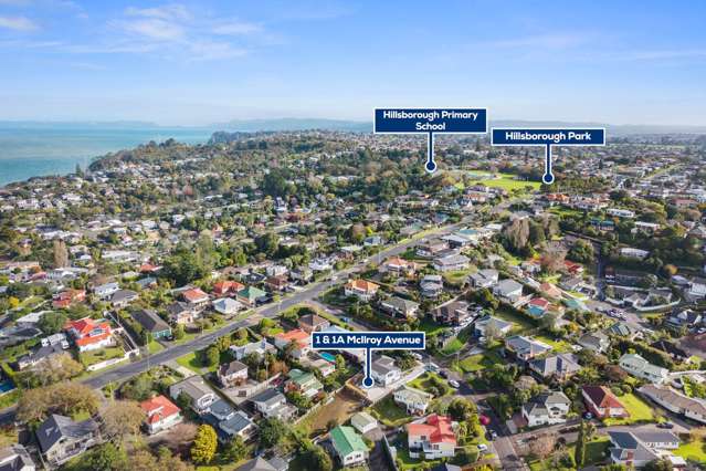 1A McIlroy Avenue Hillsborough_2