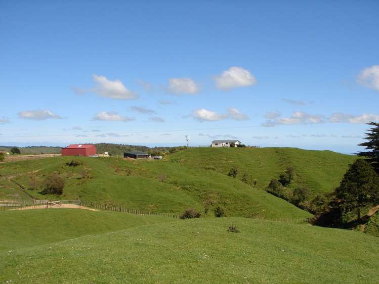 Mahoe Road Waitomo_17