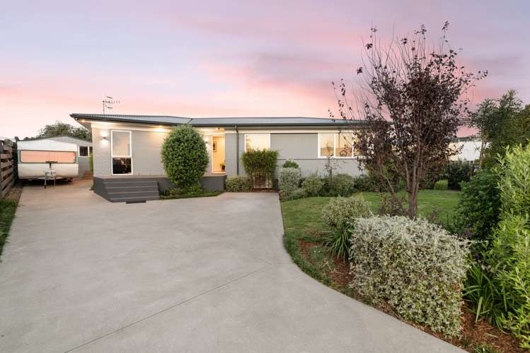 5 Harris Street Mount Maunganui_1