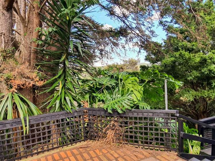 13 Tui Grove Paihia_17