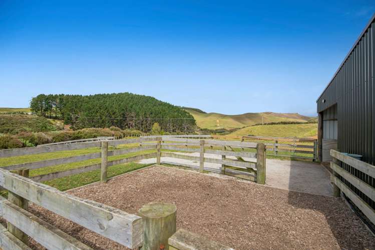 15a Slater Road South Head_29