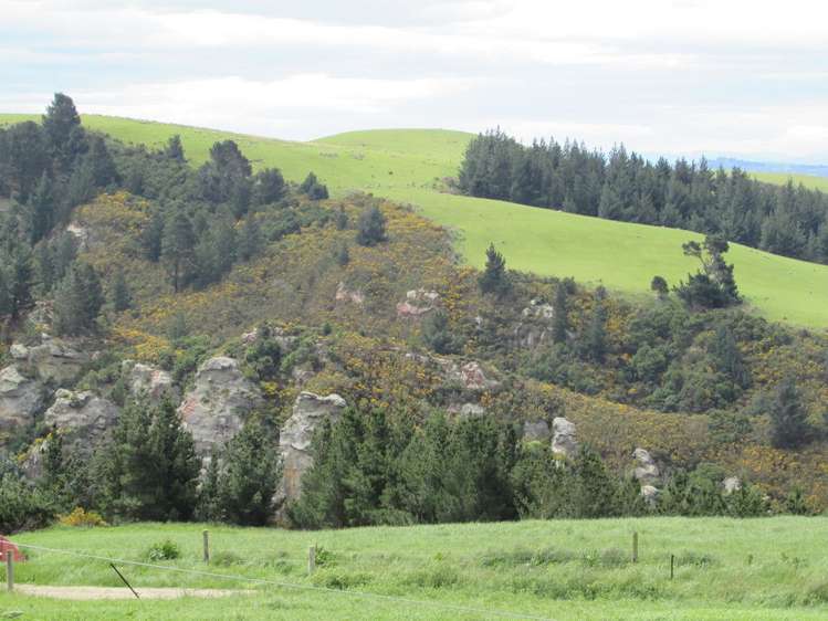 Horse Range Road Palmerston_18