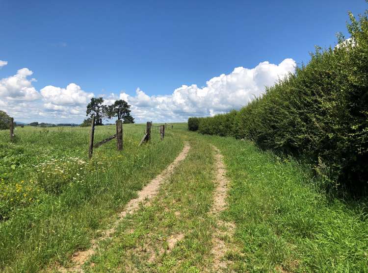 1564 State Highway 31 Kawhia Road Otorohanga_7